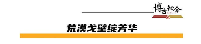戈壁芳华：1958年的新疆建设为今天留下了什么？(图2)