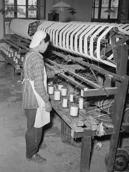 戈壁芳华：1958年的新疆建设为今天留下了什么？(图3)