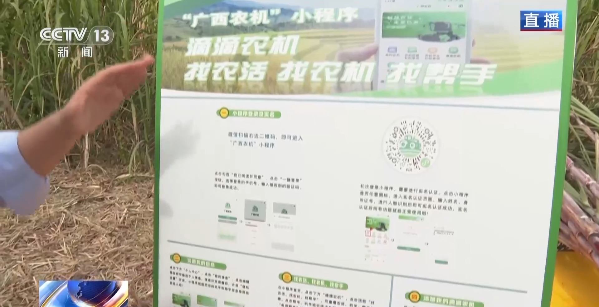 从“榨糖”到“超级电容” 揭秘广西甘蔗的甜蜜产业链(图2)