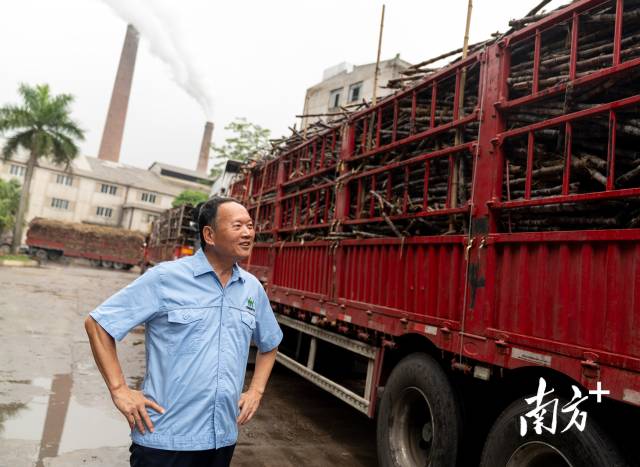 “来者不拒”的约定：这家化州糖厂为何感动全网？(图1)