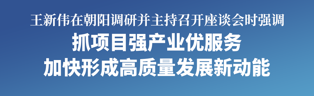 王新伟在朝阳调研并主持召开座谈会(图1)